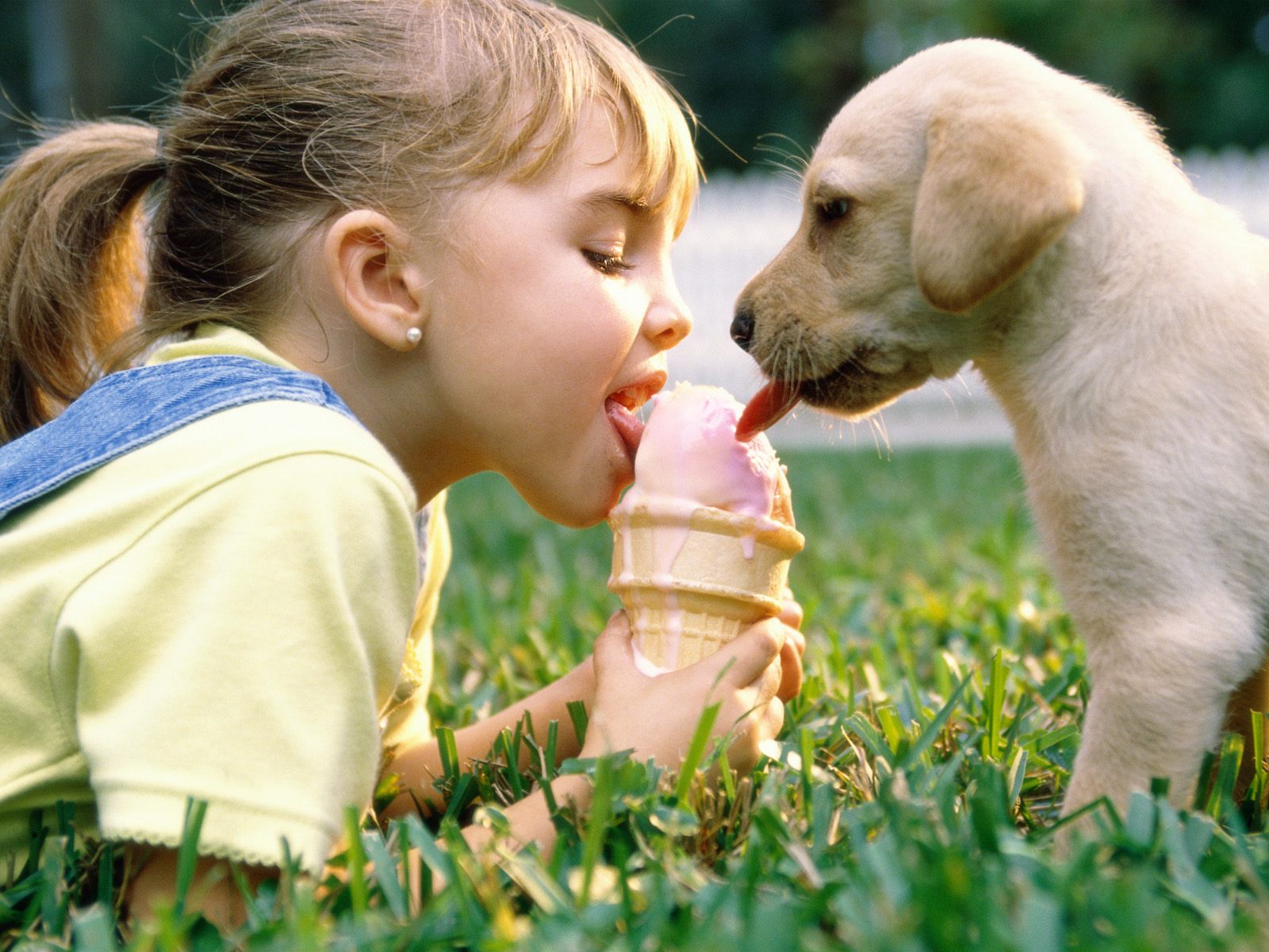 girl and puppy wallpapers 11375 1600x1200