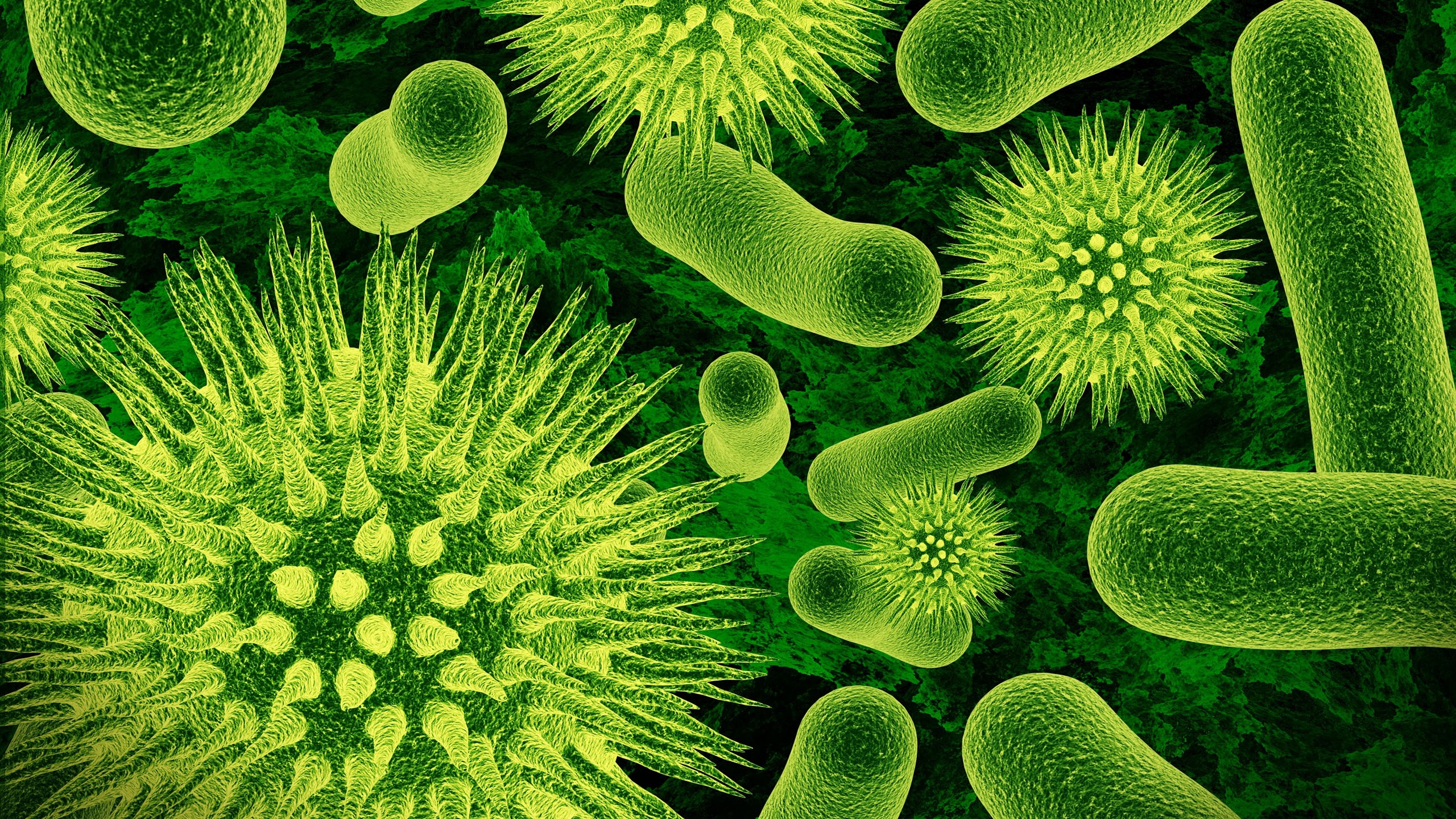 virusi i bakterii